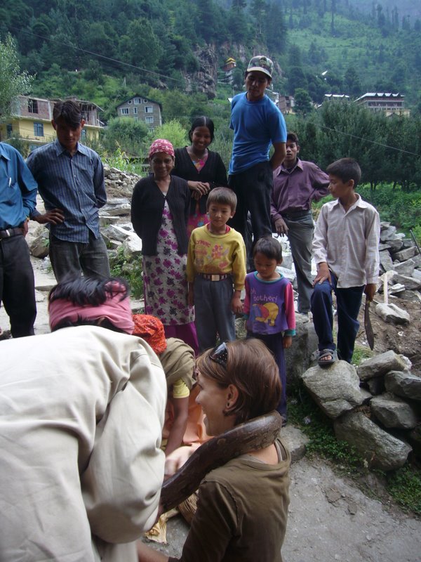 Travel - India - Himachal Pradesh - Manali